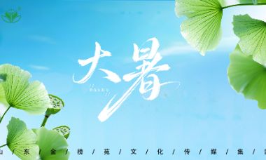 风暴娱乐官方网站图片